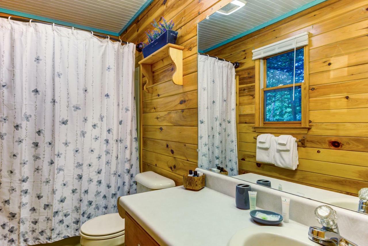 Coffee Creek Cabin Sautee Nacoochee エクステリア 写真